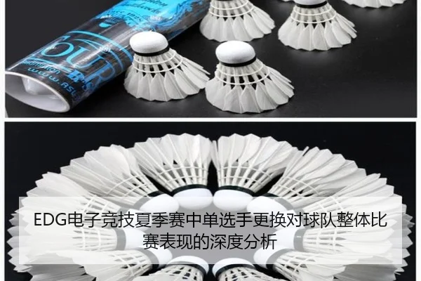 EDG电子竞技夏季赛中单选手更换对球队整体比赛表现的深度分析