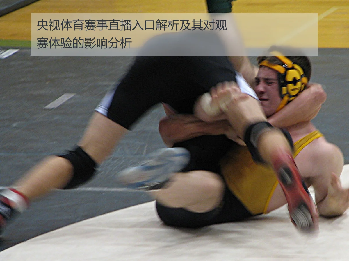 央视体育赛事直播入口解析及其对观赛体验的影响分析