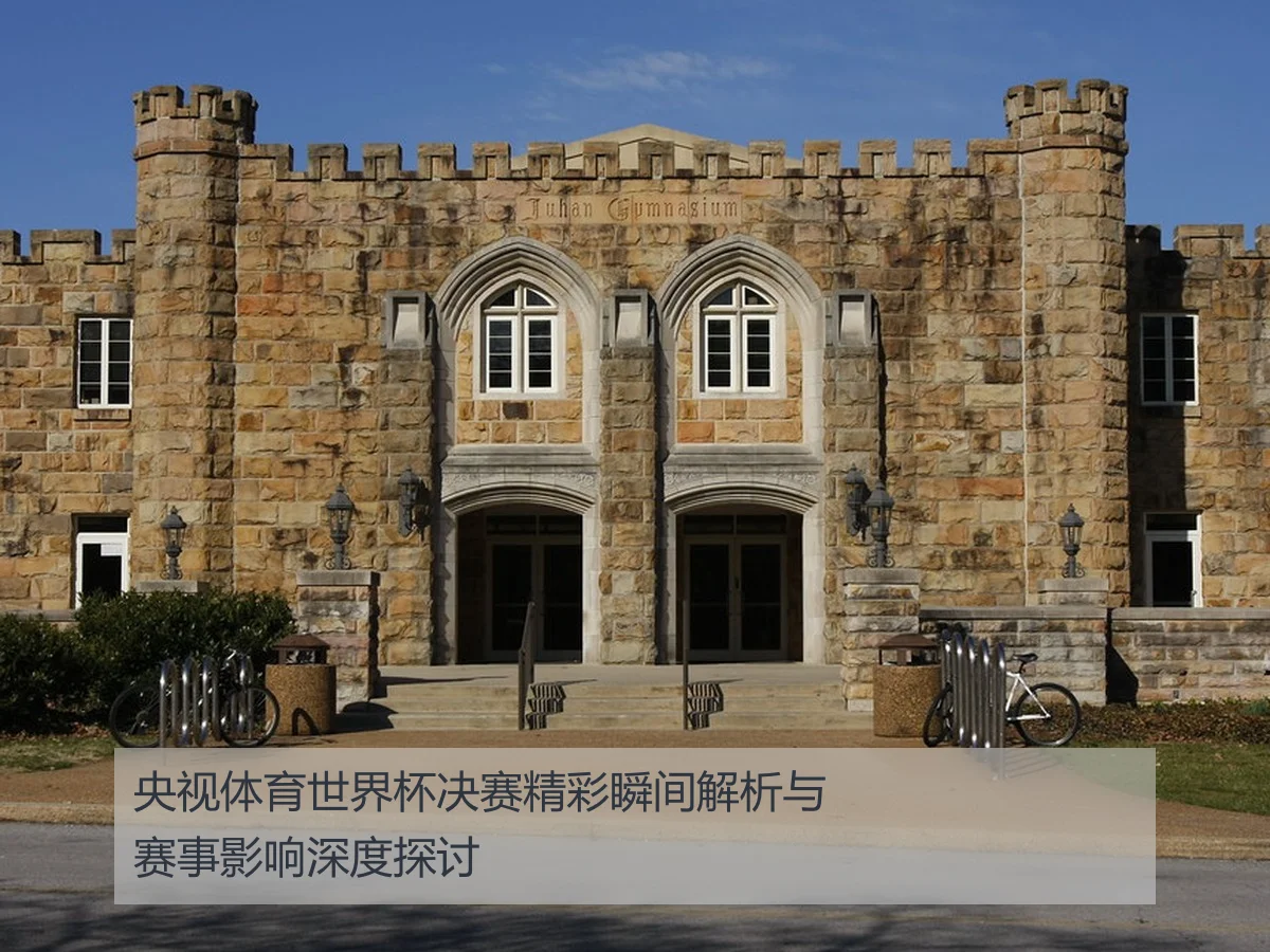 央视体育世界杯决赛精彩瞬间解析与赛事影响深度探讨